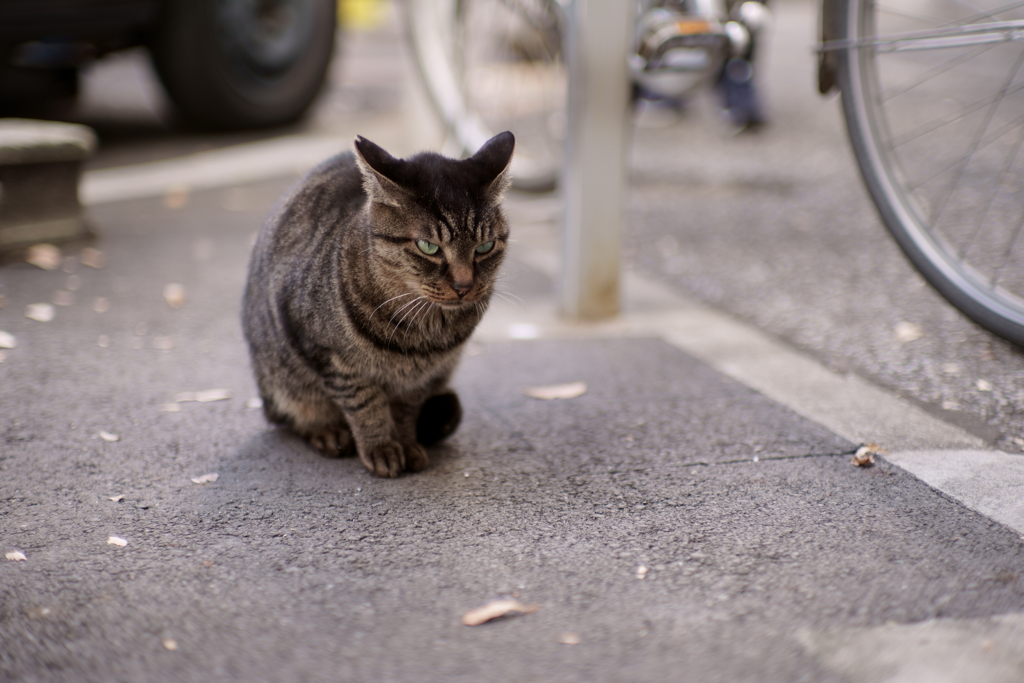 怒ってる？