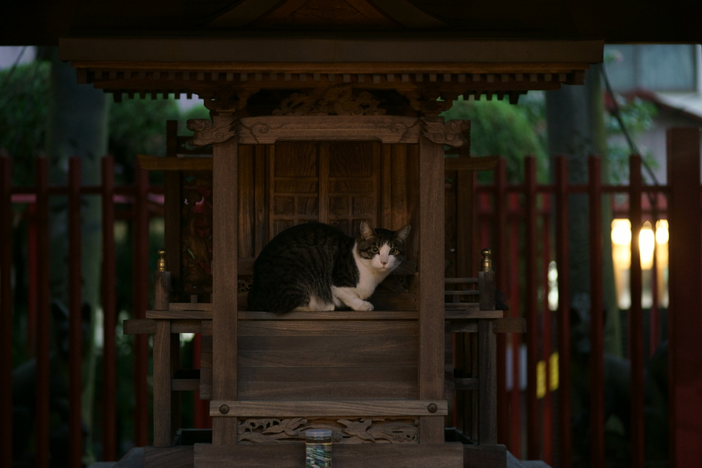 雨宿り