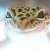10歳になりました (♀1)