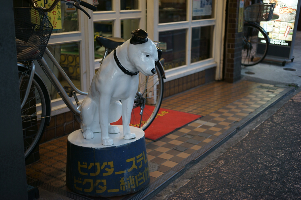 ビクター犬