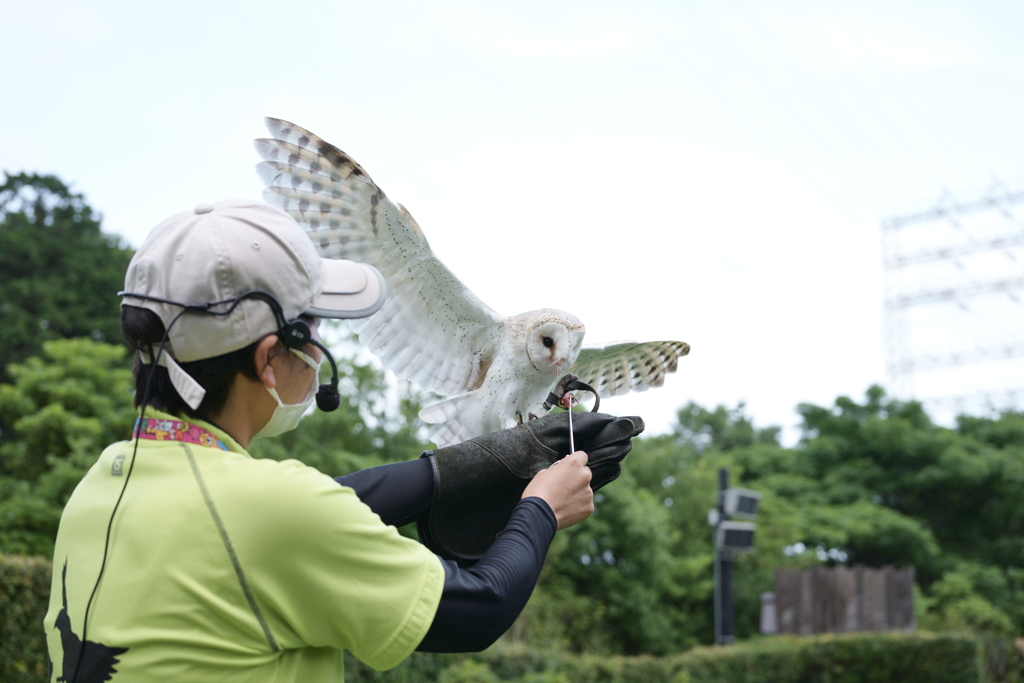 SEL50F25G テスト