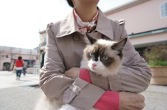 不満顔