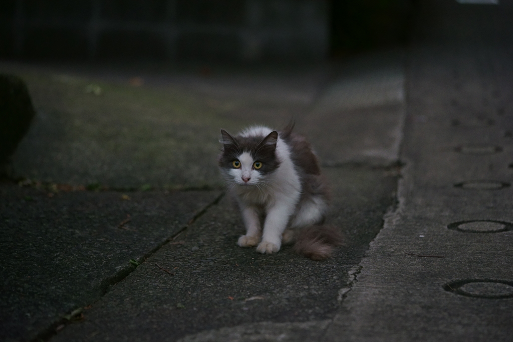 闇に迫る時
