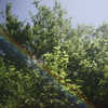 エルマーの虹