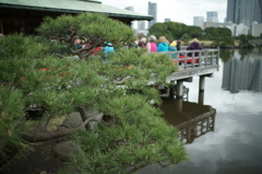 浜離宮恩賜庭園にて