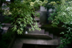 小布施にて