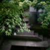 小布施にて