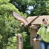 竜馬がゆく (2)