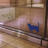 踊り場の猫 (5)