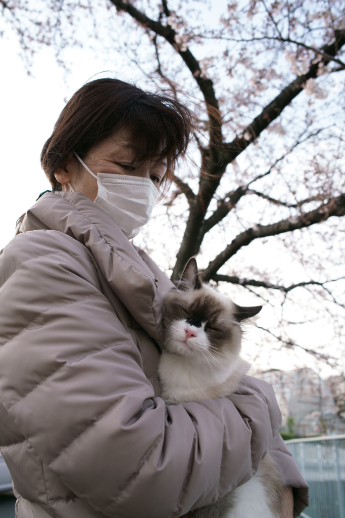 強い風