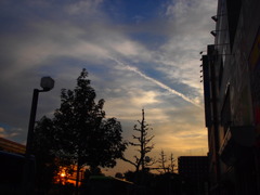 朝の京都