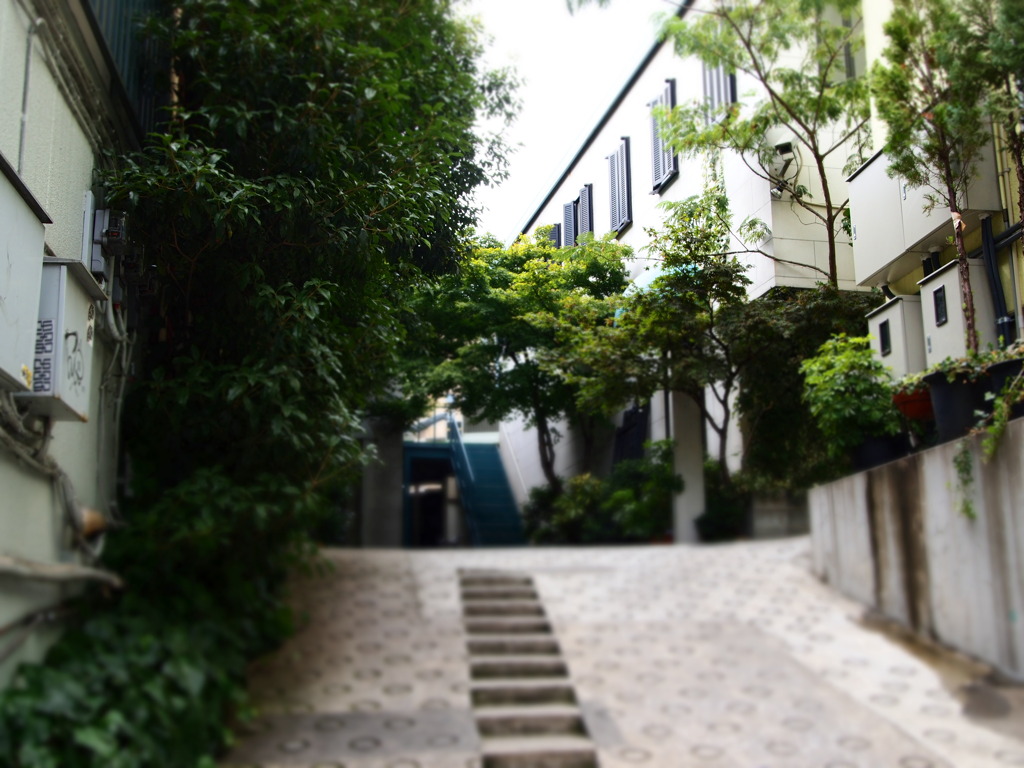 the urban house