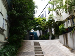 the urban house