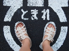 忠実に