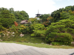 計算された美。