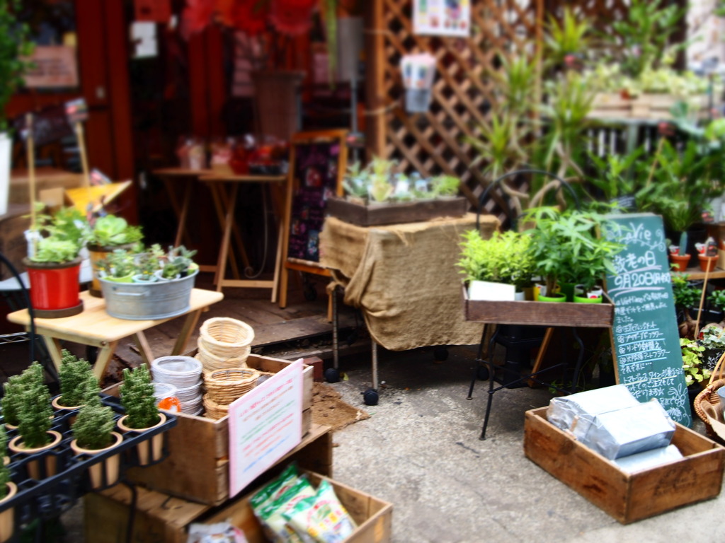 ジオラマ花屋