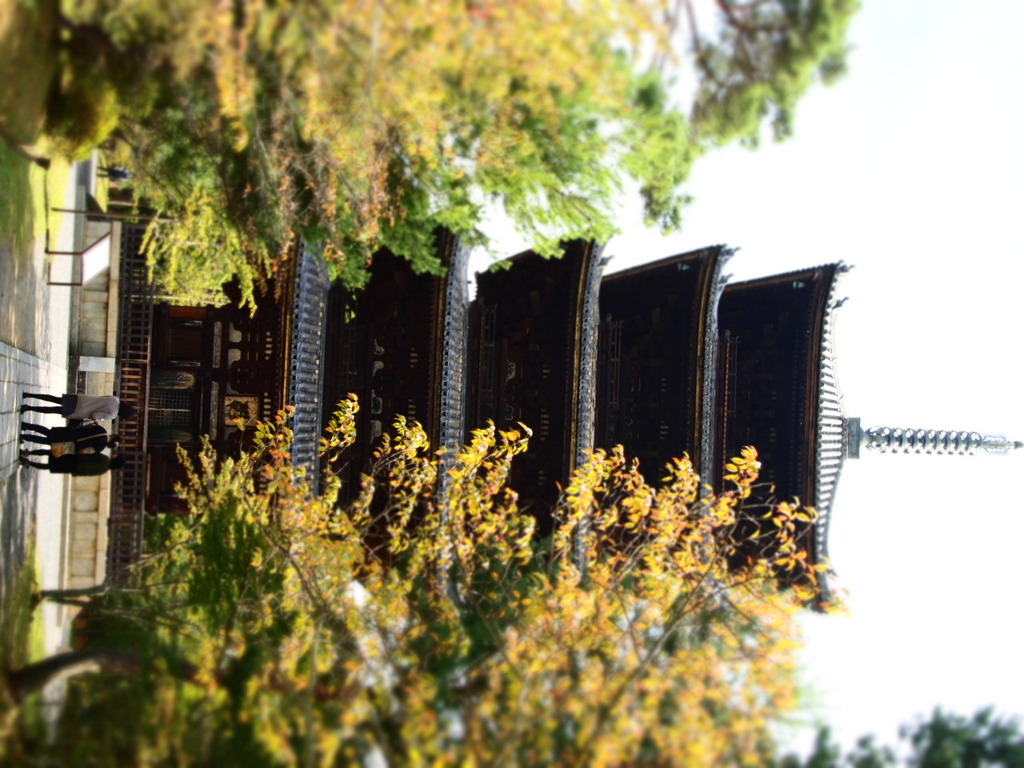 jojuunoto,kyoto,jiorama
