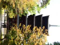 jojuunoto,kyoto,jiorama
