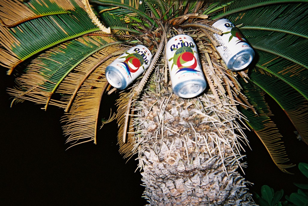 オリオンビールのなる木