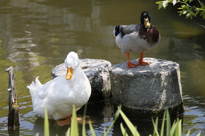 お友達