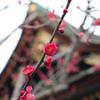 一眼入手の頃　5