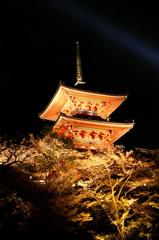 清水寺　ライトアップ　1