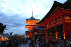 清水寺　ライトアップ　10