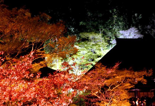 清水寺　ライトアップ　4