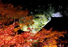 清水寺　ライトアップ　4