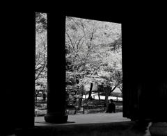 休息の場