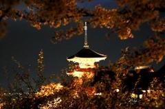 清水寺　ライトアップ　3