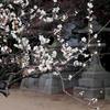一眼入手の頃　7
