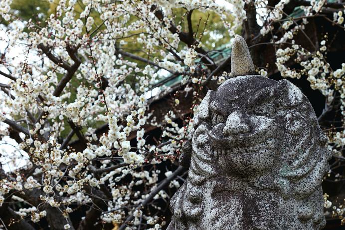一眼入手の頃　2