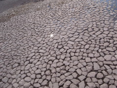 お掃除ご苦労様です（錦帯橋）。