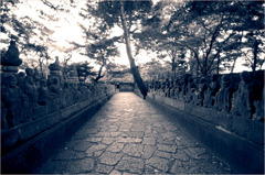 喜多院-川越