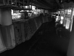 DSCN1110