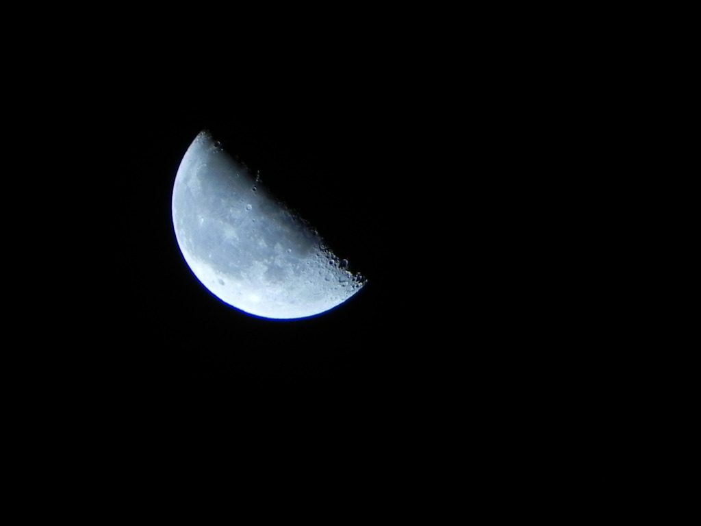 DSCN1271
