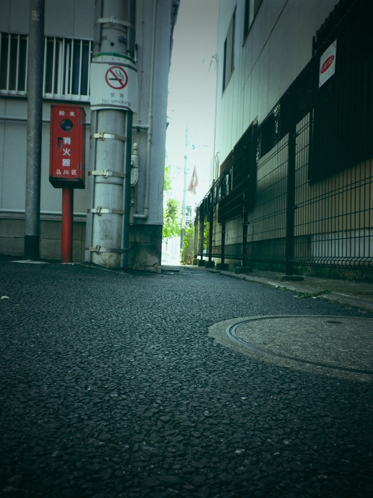 猫目線