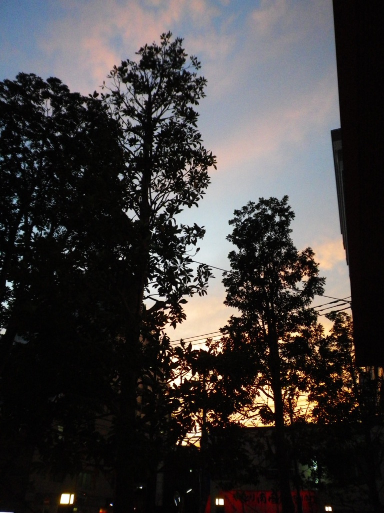 夕暮れ