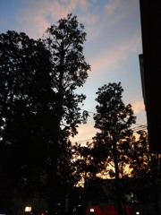 夕暮れ