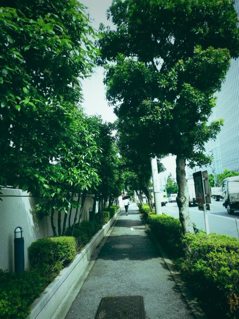 まっすぐな道