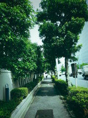 まっすぐな道
