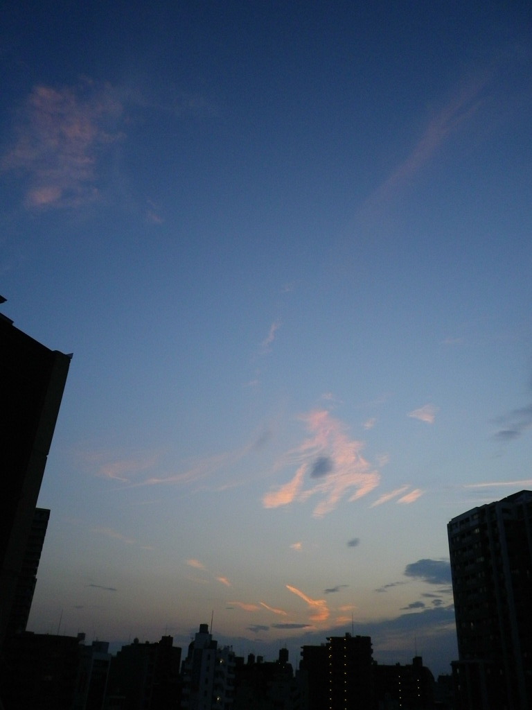 夕方