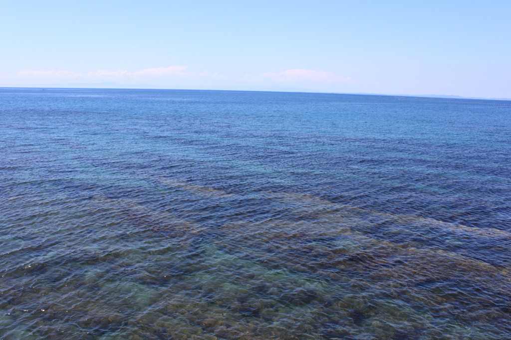 地元の海