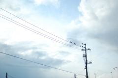 昼下がりの雨宿り