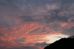 赤鱗雲