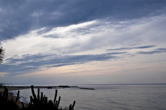 今日の空