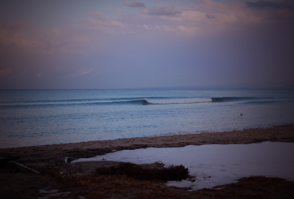 今日の海