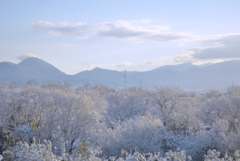 降雪