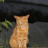 何を考えているのか？